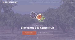 Desktop Screenshot of copsolfruit.com